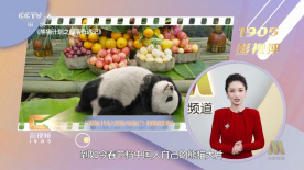 妻子的自由
